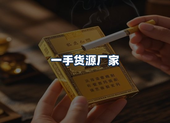 专业团队办公环境